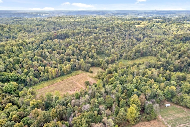 4231 Lylewood Rd, Indian Mound, TN 37079 - drone / aerial view with a view of trees