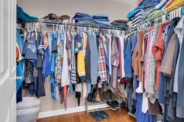 165 Daffodil Dr, Tullahoma, TN 37388 - walk in closet featuring wood finished floors