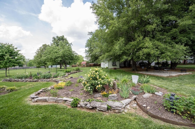 view of yard with a patio, fence, an outbuilding, and a storage unit