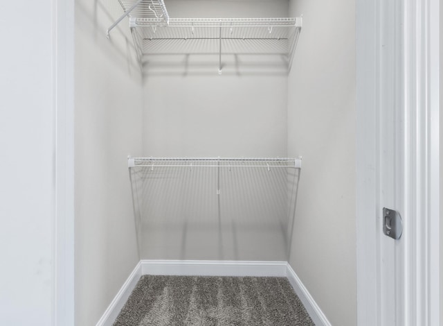 spacious closet with carpet