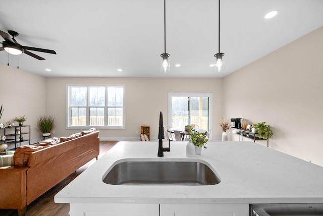 538 Judah Cir, Clarksville, TN 37042 - kitchen featuring open floor plan, dark wood finished floors, a healthy amount of sunlight, and a sink