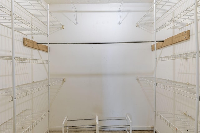 view of walk in closet