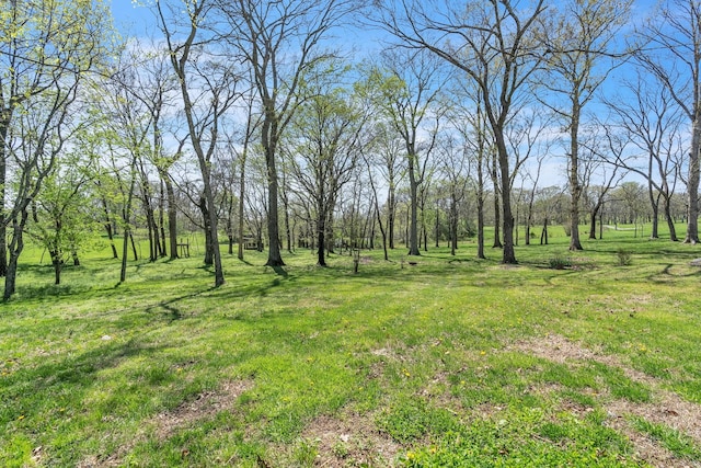 view of landscape