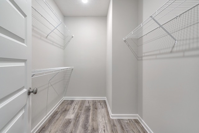 walk in closet with wood finished floors
