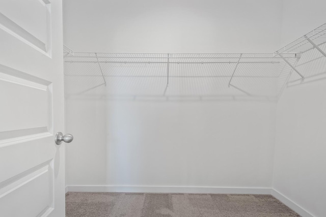 walk in closet with carpet