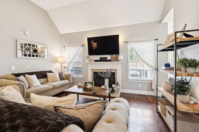 141 Fieldcrest Cir, Hendersonville, TN 37075 - living area featuring healthy amount of natural light, dark wood-style floors, lofted ceiling, a fireplace, and baseboards