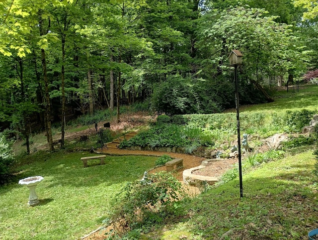 view of yard featuring a vegetable garden