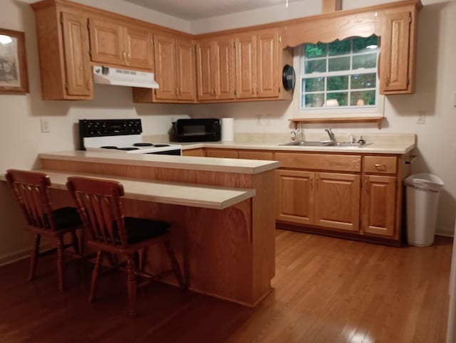 kitchen with range with electric stovetop, black microwave, a sink, light wood finished floors, and under cabinet range hood