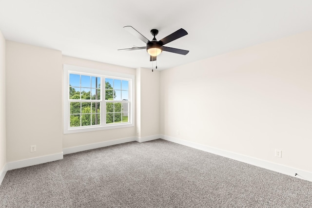 1061 Charles Thomas Dr, Clarksville, TN 37042 - photo 41