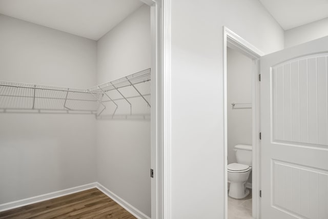 walk in closet featuring wood finished floors
