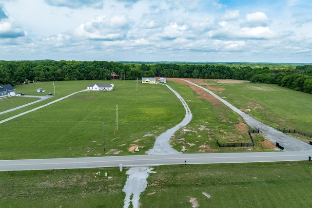 1317 Halls Mill Rd, Unionville, TN 37180 - drone / aerial view