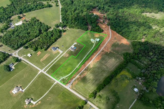 1317 Halls Mill Rd, Unionville, TN 37180 - drone / aerial view