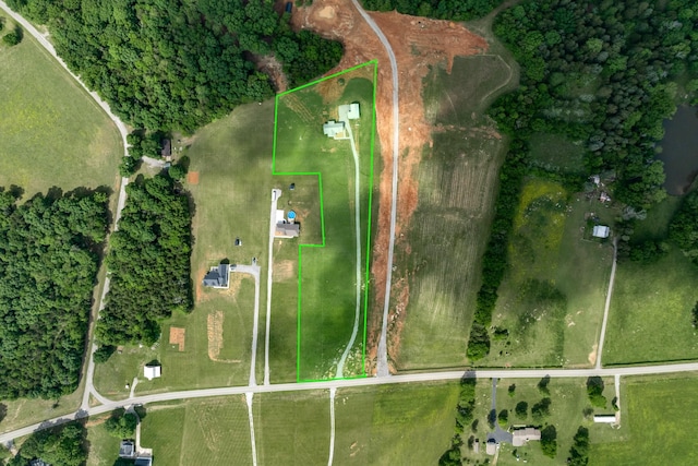 1317 Halls Mill Rd, Unionville, TN 37180 - aerial view