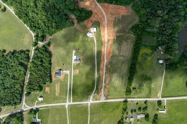 1317 Halls Mill Rd, Unionville, TN 37180 - drone / aerial view