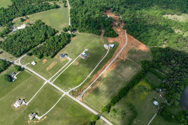 1317 Halls Mill Rd, Unionville, TN 37180 - bird's eye view with a rural view
