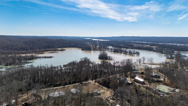 93 Honeysuckle Ln, Lobelville, TN 37097