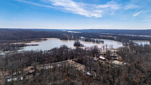 93 Honeysuckle Ln, Lobelville, TN 37097