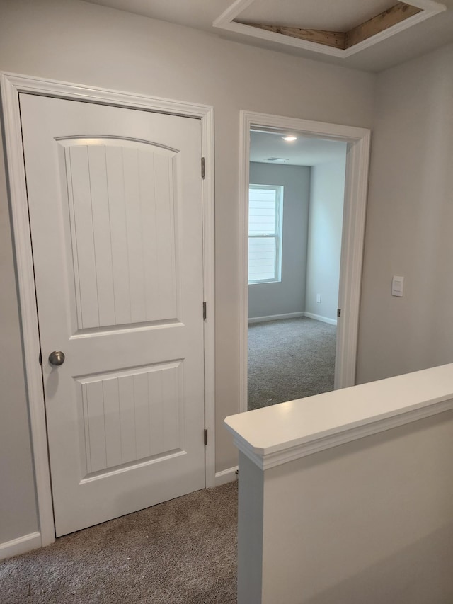 hallway with carpet flooring
