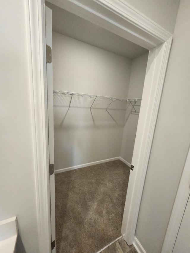 walk in closet featuring carpet flooring