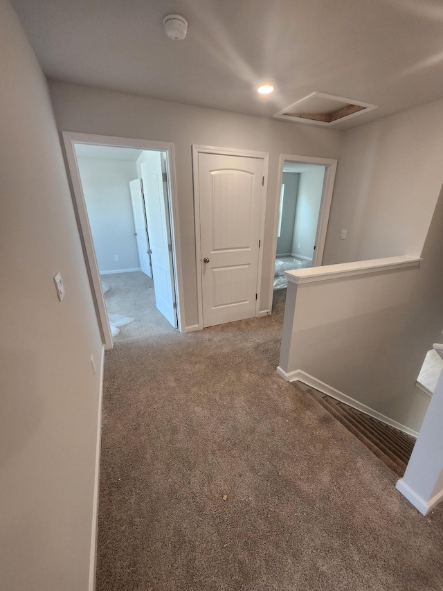 hallway featuring baseboards, carpet flooring, and attic access