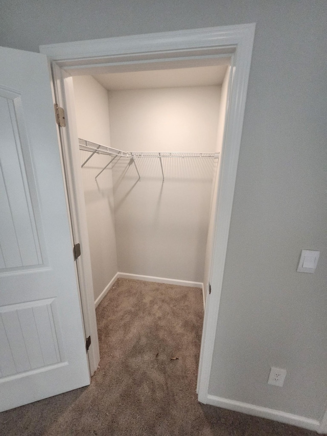 walk in closet featuring carpet flooring
