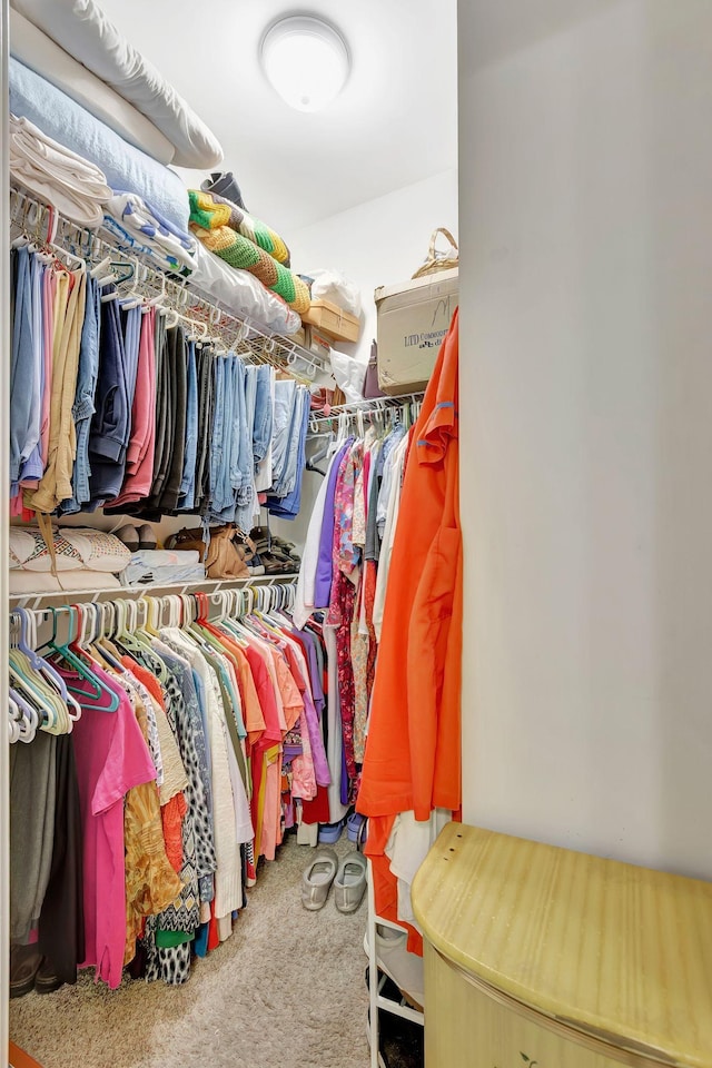 spacious closet featuring carpet floors