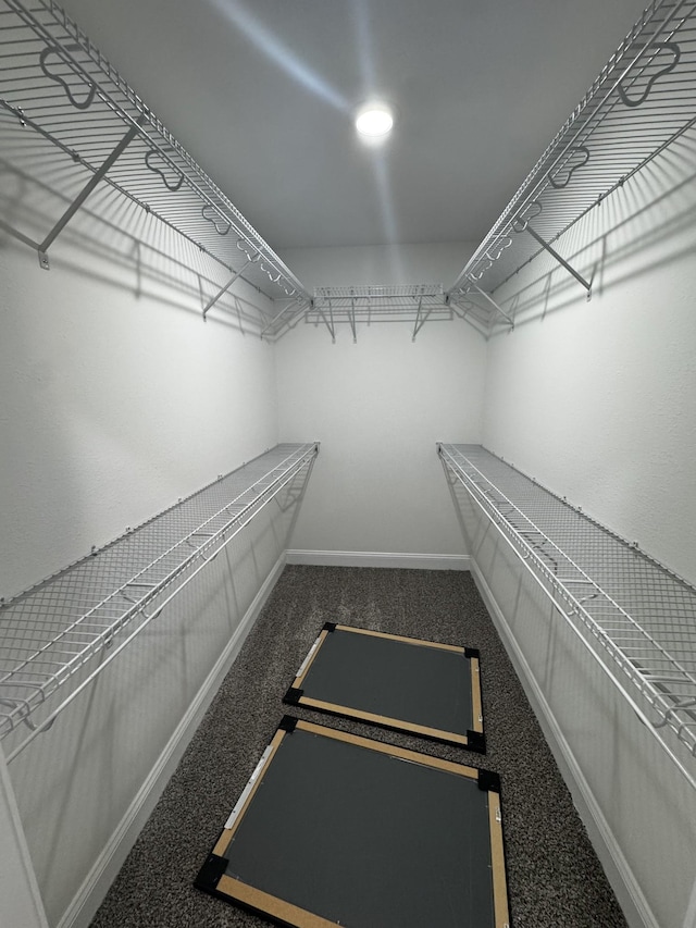 walk in closet featuring carpet