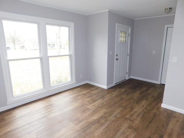 empty room featuring ornamental molding, a wealth of natural light, and dark wood-style floors