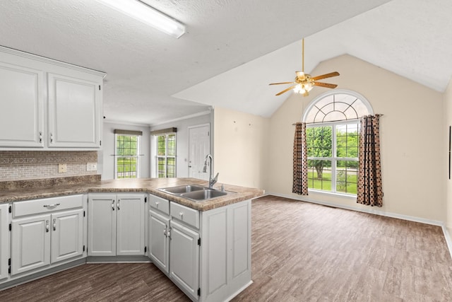 kitchen with ceiling fan, a sink, a peninsula, open floor plan, and dark wood-type flooring