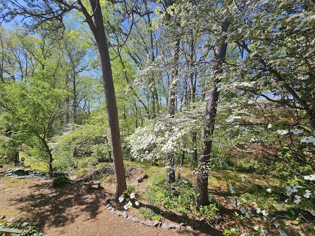 view of landscape