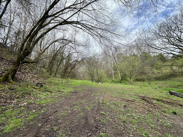 view of local wilderness with a view of trees