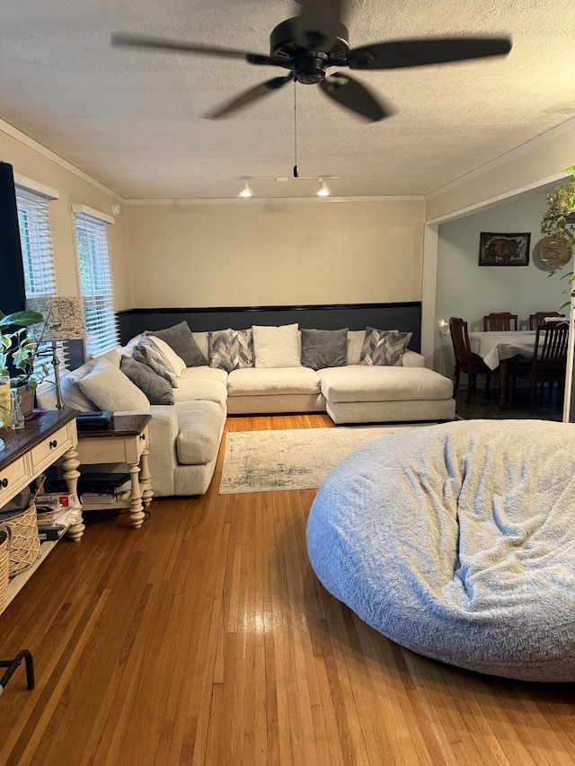 living area featuring crown molding, a textured ceiling, ceiling fan, and wood-type flooring