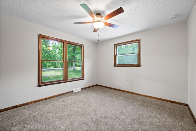 1310 Dogwood Dr, Erin, TN 37061 - photo 14
