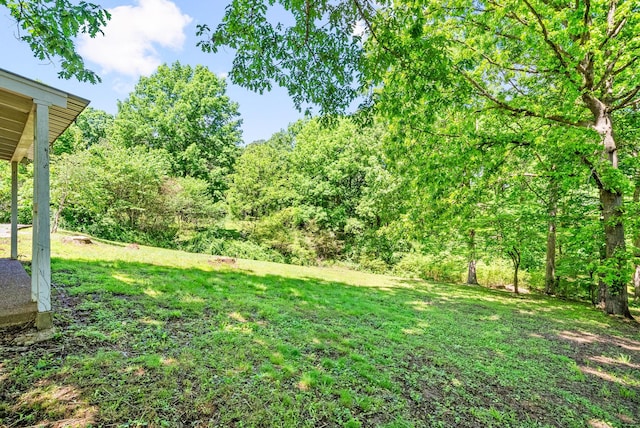1310 Dogwood Dr, Erin, TN 37061 - photo 32