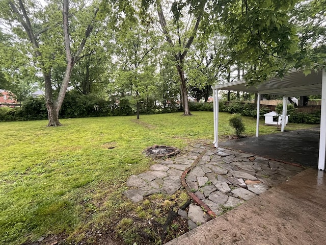 361 Binkley Dr, Nashville, TN 37211 - view of green lawn