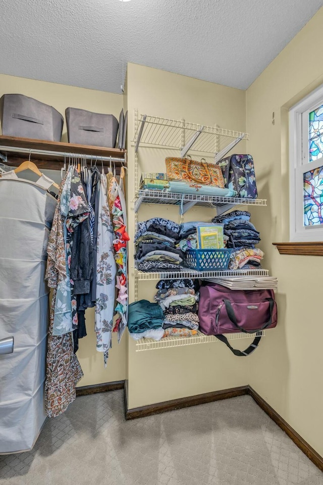 1204 Wood Pines Ln, Hixson, TN 37343 - spacious closet featuring carpet flooring