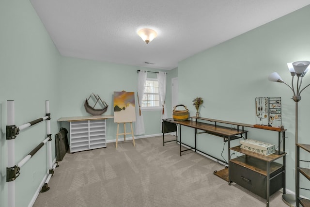 1204 Wood Pines Ln, Hixson, TN 37343 - misc room with carpet and baseboards