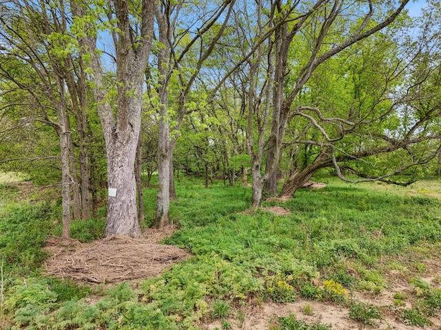 0 Old Hillsboro Rd, Franklin, TN 37064