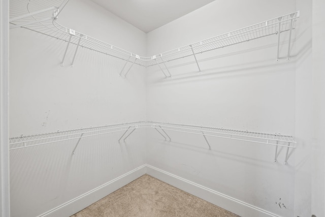 spacious closet with carpet floors