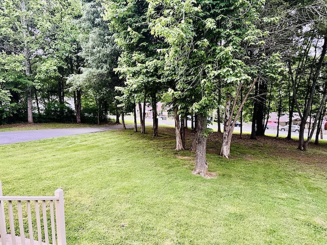 1038 Phillip Dr, Portland, TN 37148