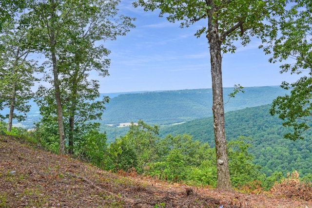 615 Cumberland Cir, Jasper, TN 37347