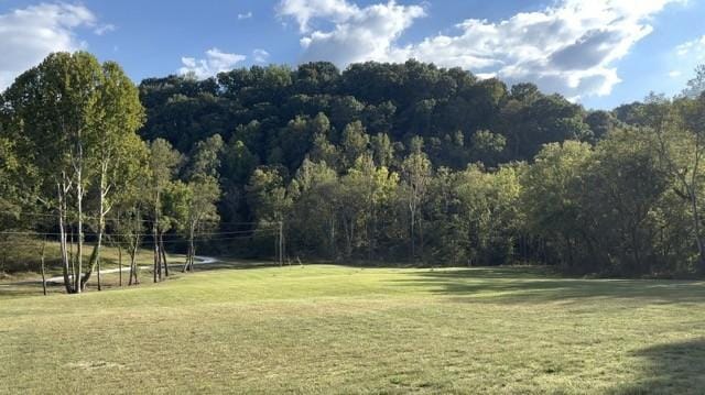 view of yard featuring a wooded view