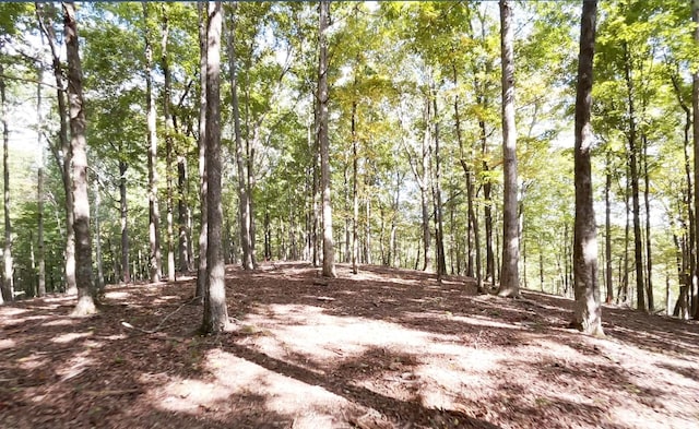 view of nature with a forest view