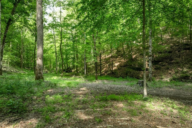 view of local wilderness featuring a forest view