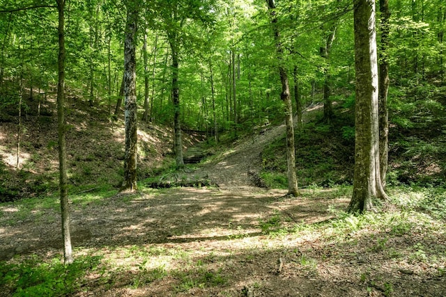 view of landscape with a view of trees