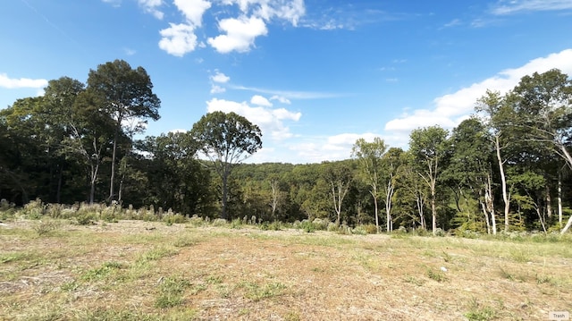 view of nature with a forest view