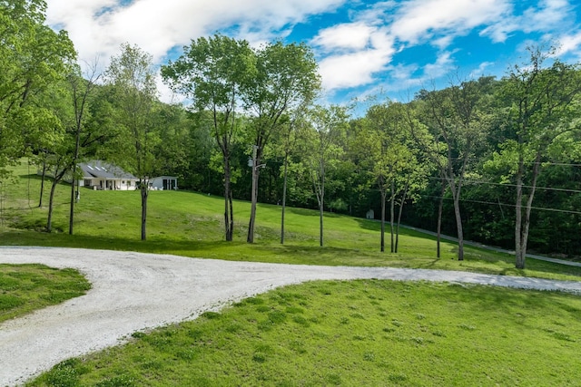 view of property's community with curved driveway and a yard