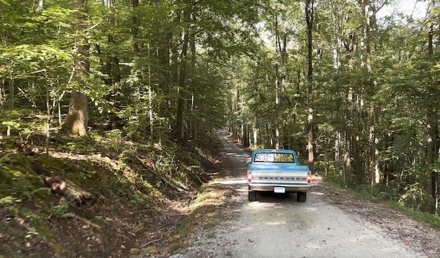 view of street with a forest view