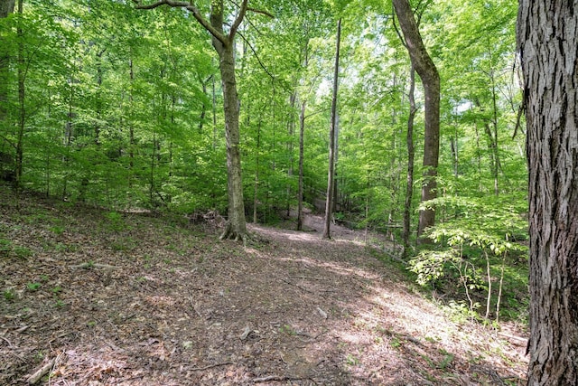 view of local wilderness with a wooded view