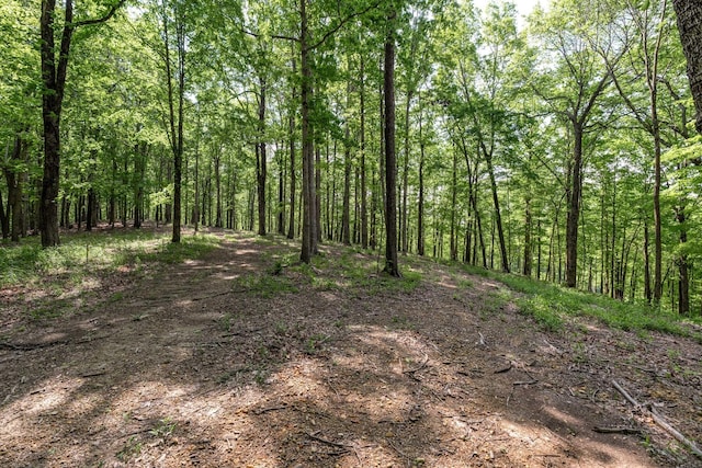 view of nature featuring a forest view